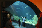 Aquarium du Trocadéro